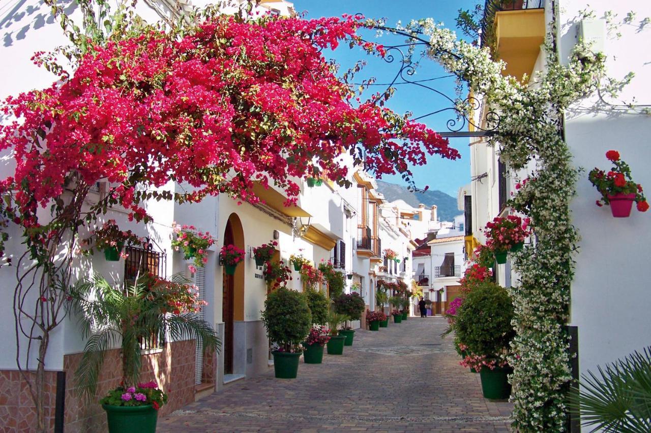 Unique Andalusian Townhouse Next To